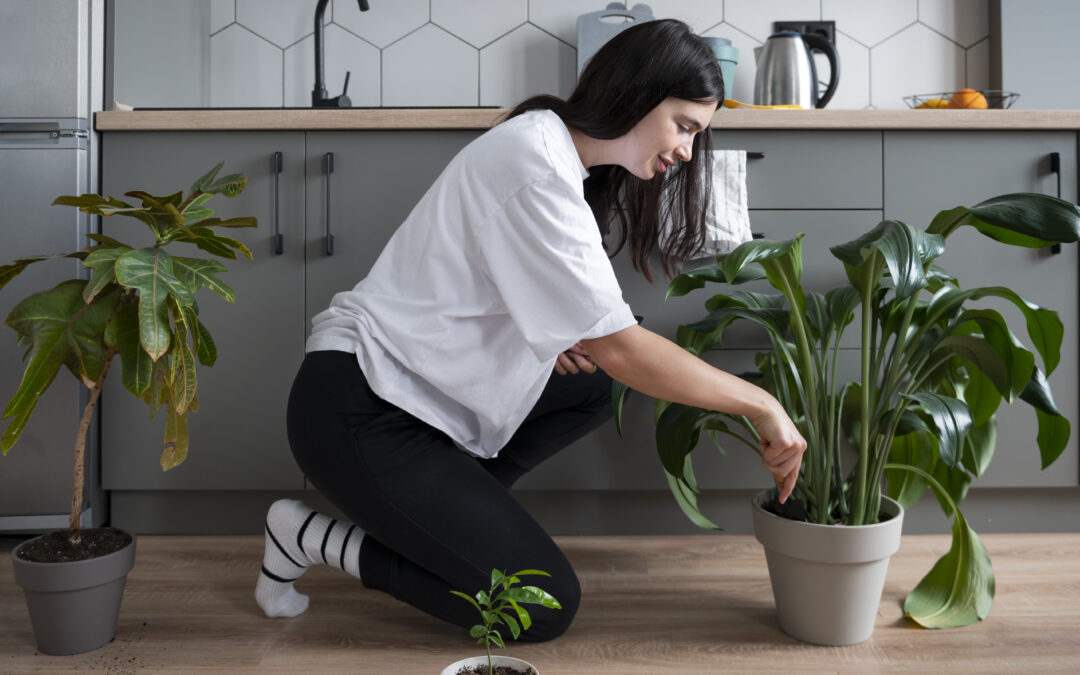 Plantas que Evitan la Humedad en tu Casa