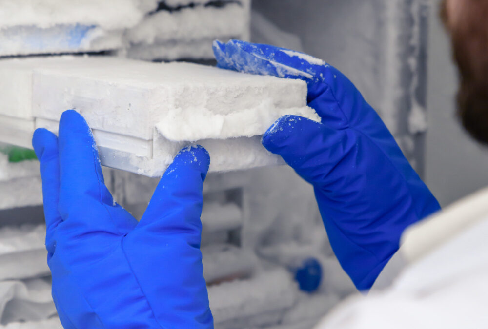 Materiales aislantes: los mejores para tu hogar o proyecto